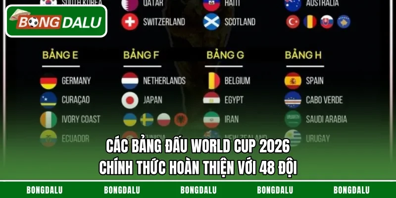 Các Bảng Đấu World Cup 2026 Chính Thức