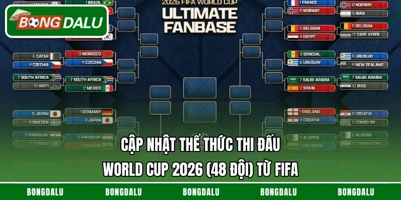 thể thức thi đấu World Cup 2026 (48 đội)