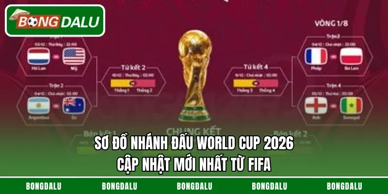 Sơ đồ nhánh đấu World Cup 2026